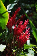 20120426_353
