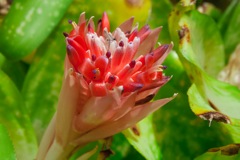 20100612_291